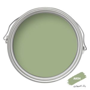 رنگ کامپیوتری کد AK04