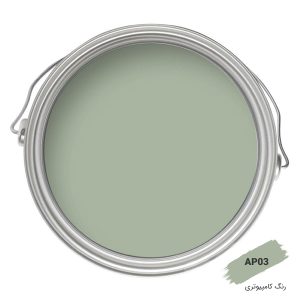 رنگ کامپیوتری کد AP03