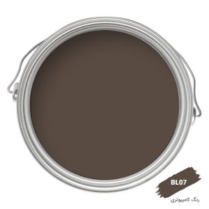 رنگ کامپیوتری کد BL07