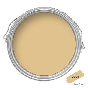 رنگ کامپیوتری کد BO04