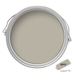 رنگ کامپیوتری کد BR03