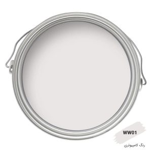 رنگ کامپیوتری کد WW01