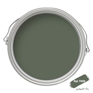 رنگ اپوکسی کامپیوتری کد Ral 7009