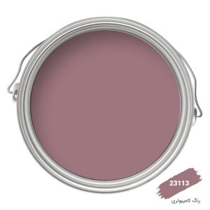 رنگ نما کامپیوتری کد 23113