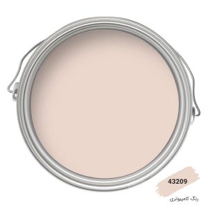 رنگ نما کامپیوتری کد 43209