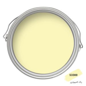 رنگ نما کامپیوتری کد 53300