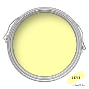 رنگ نما کامپیوتری کد 53718