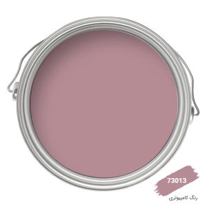 رنگ نما کامپیوتری کد 73013