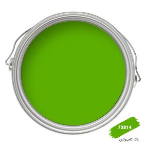 رنگ نما کامپیوتری کد 73814