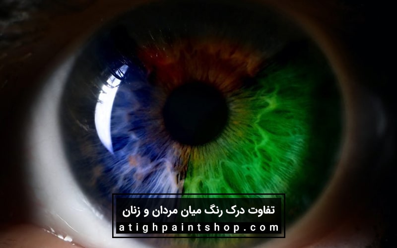 تفاوت درک رنگ میان مردان و زنان