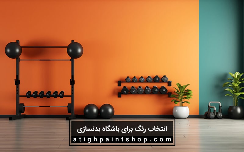 انتخاب رنگ برای باشگاه بدنسازی