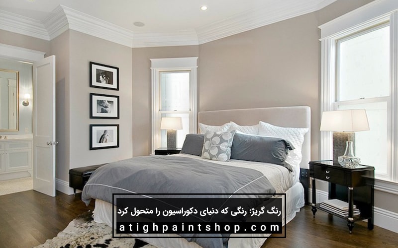 انواع رنگ گریژ