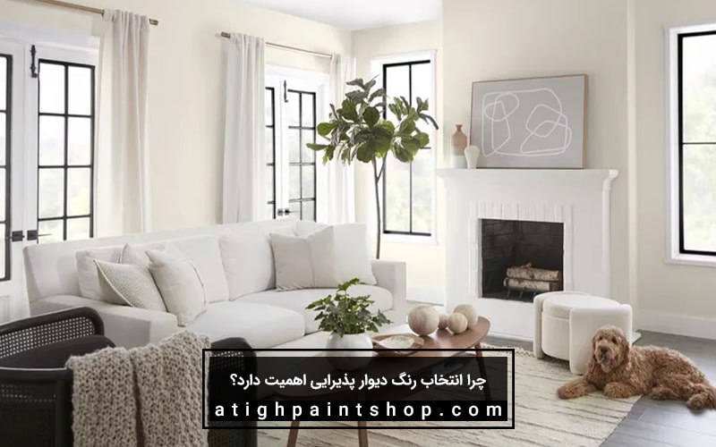 رنگ‌های مناسب پذیرایی