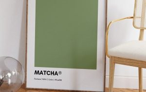 استفاده از رنگ سبز ماچایی در دکوراسیون