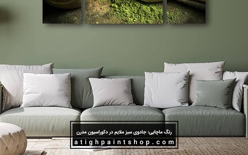 انتخاب رنگ ماچا در خانه