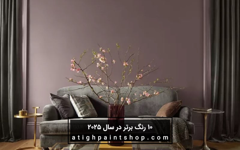 رنگ دارچین اسلیت - 10 رنگ برتر در سال 2025