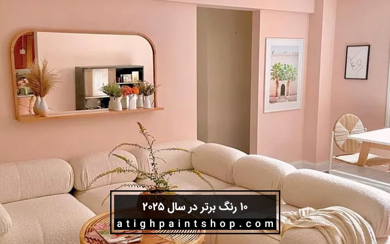 صورتی گلبهی نرم