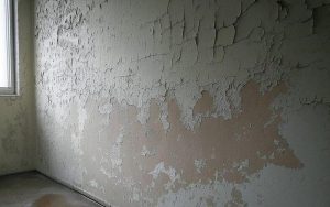 چرا رنگ دیوار پوسته‌پوسته می‌شود؟